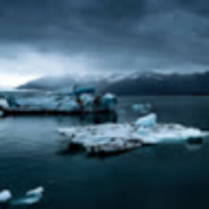 Meet your Posher, Shona